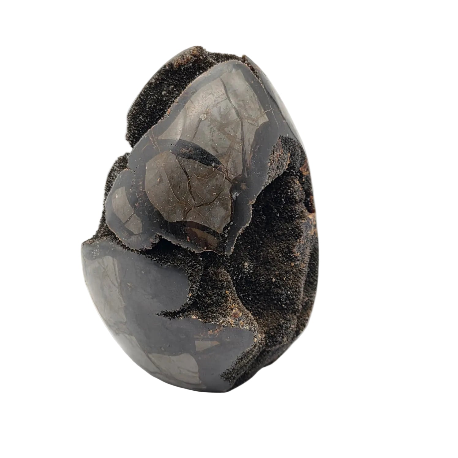 Schwarze Septarien Ei-Form – Naturstein Unikat