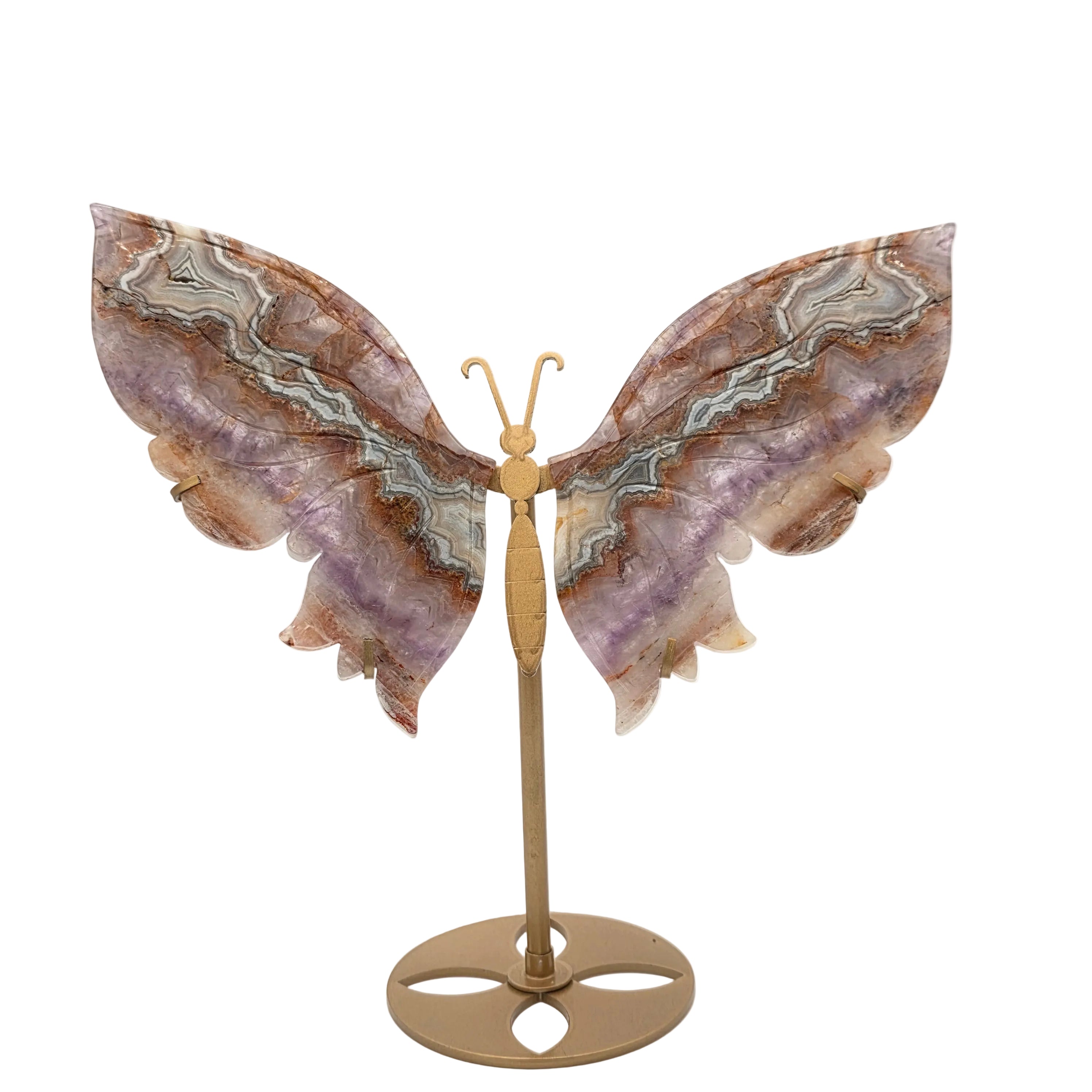 Traumamethyst Schmetterlingsflügel mit Ständer
