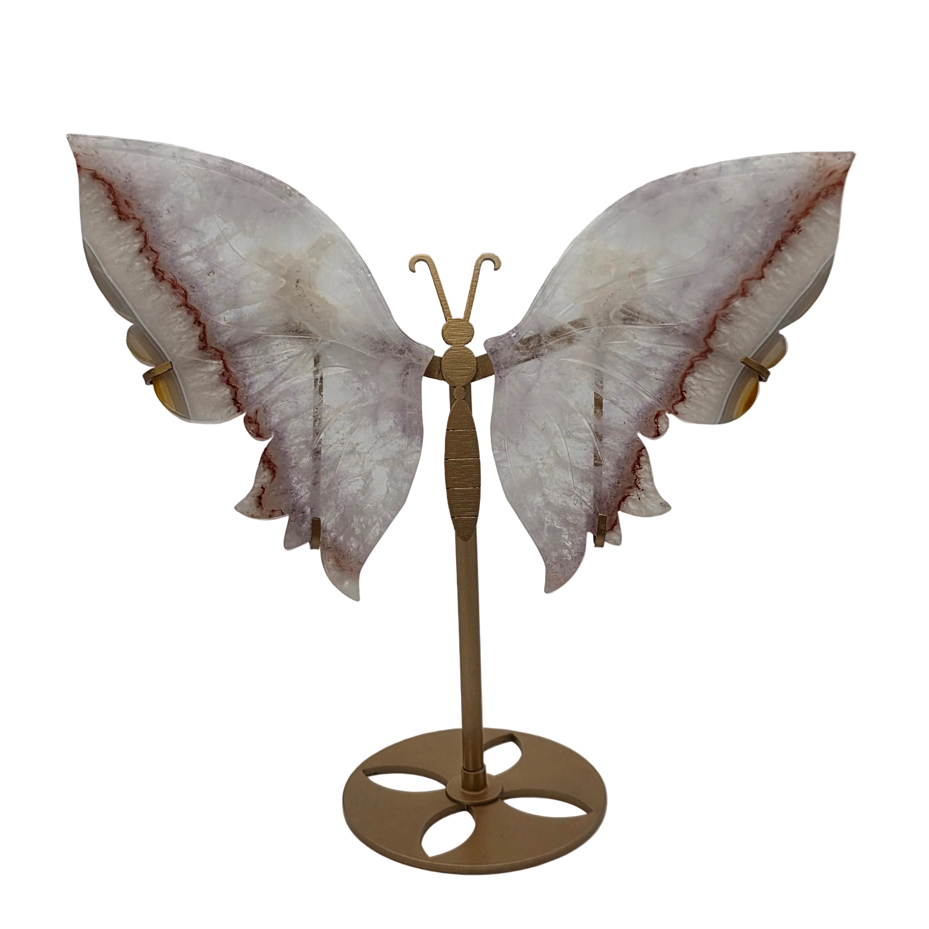 Traumamethyst Schmetterlingsflügel mit Ständer