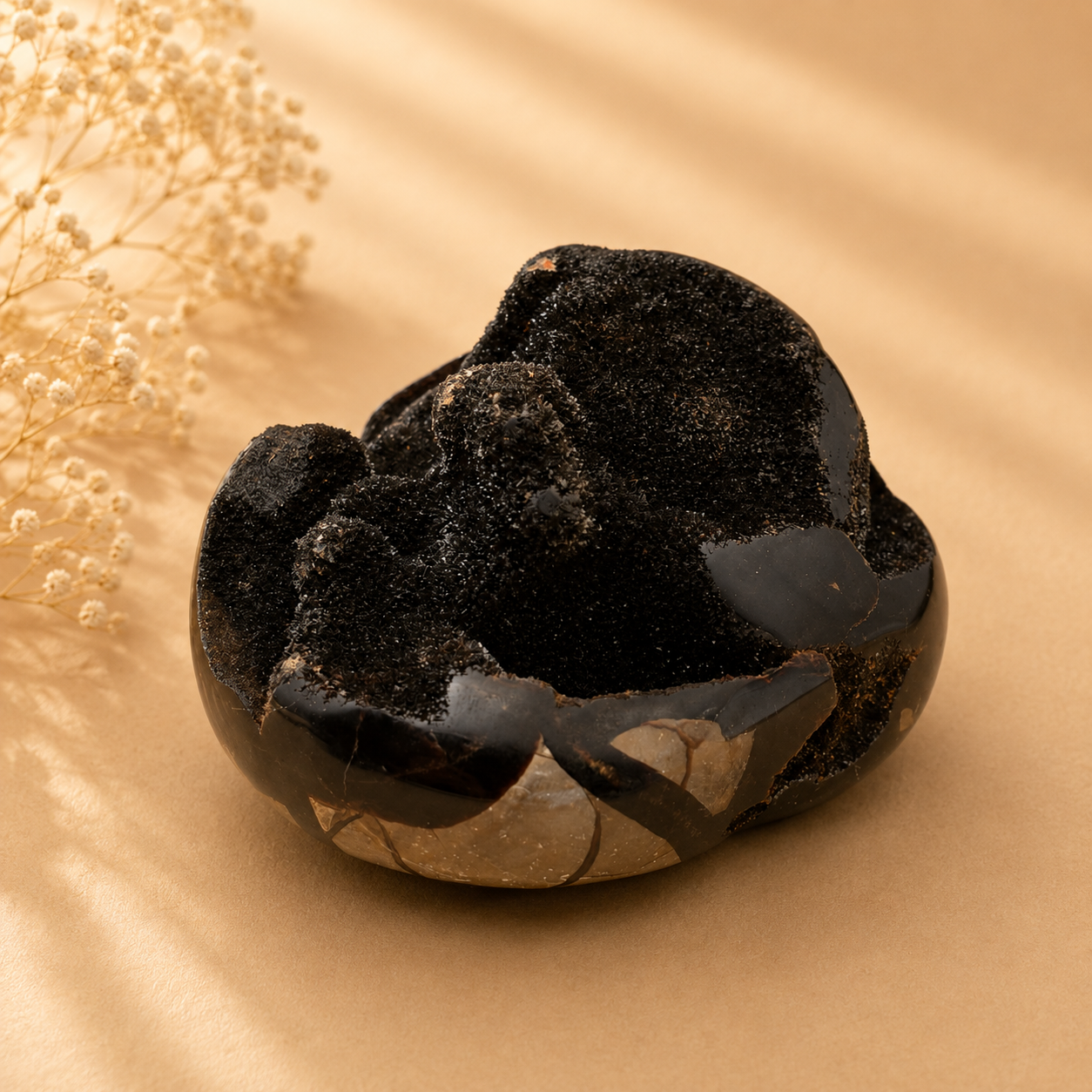 Schwarze Septarien Freiform – Naturstein Unikat