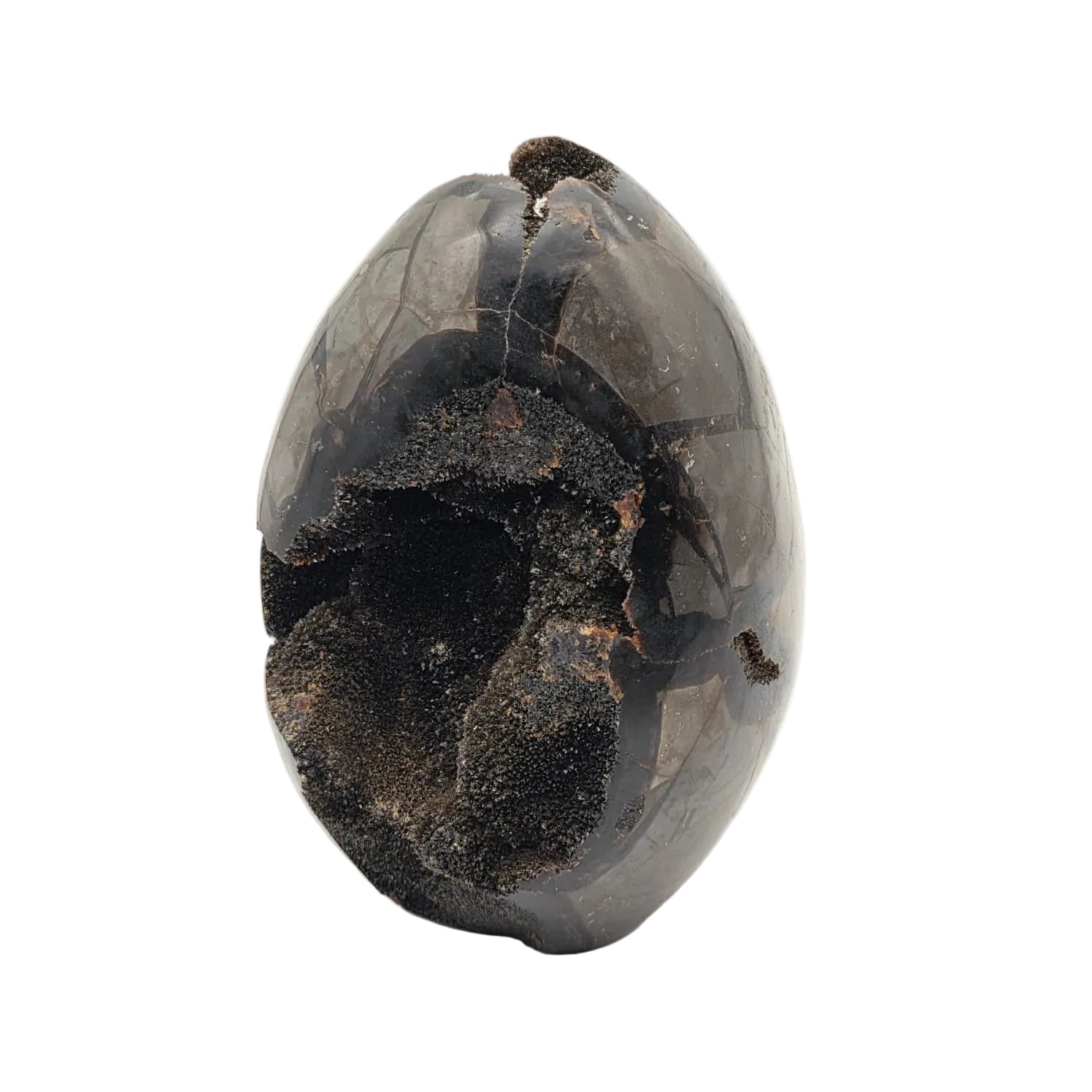 Schwarze Septarien Ei-Form – Naturstein Unikat