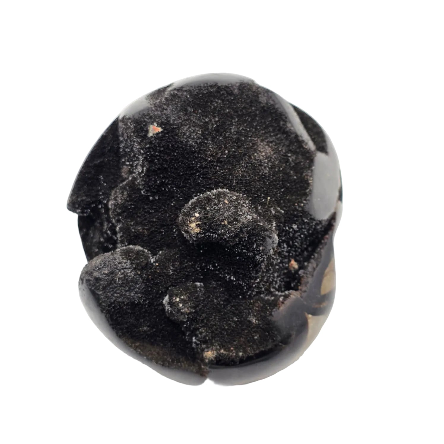Schwarze Septarien Freiform – Naturstein Unikat