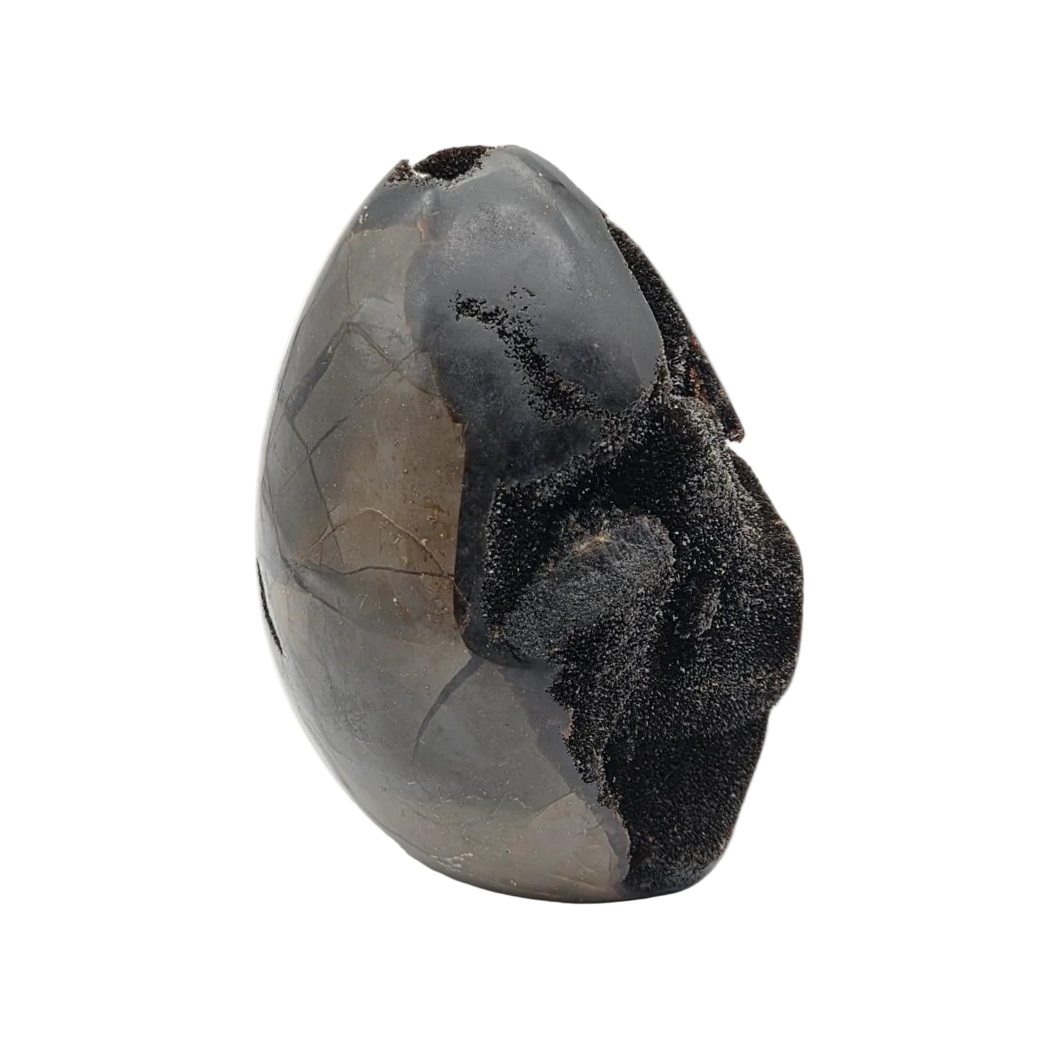 Schwarze Septarien Ei-Form – Naturstein Unikat