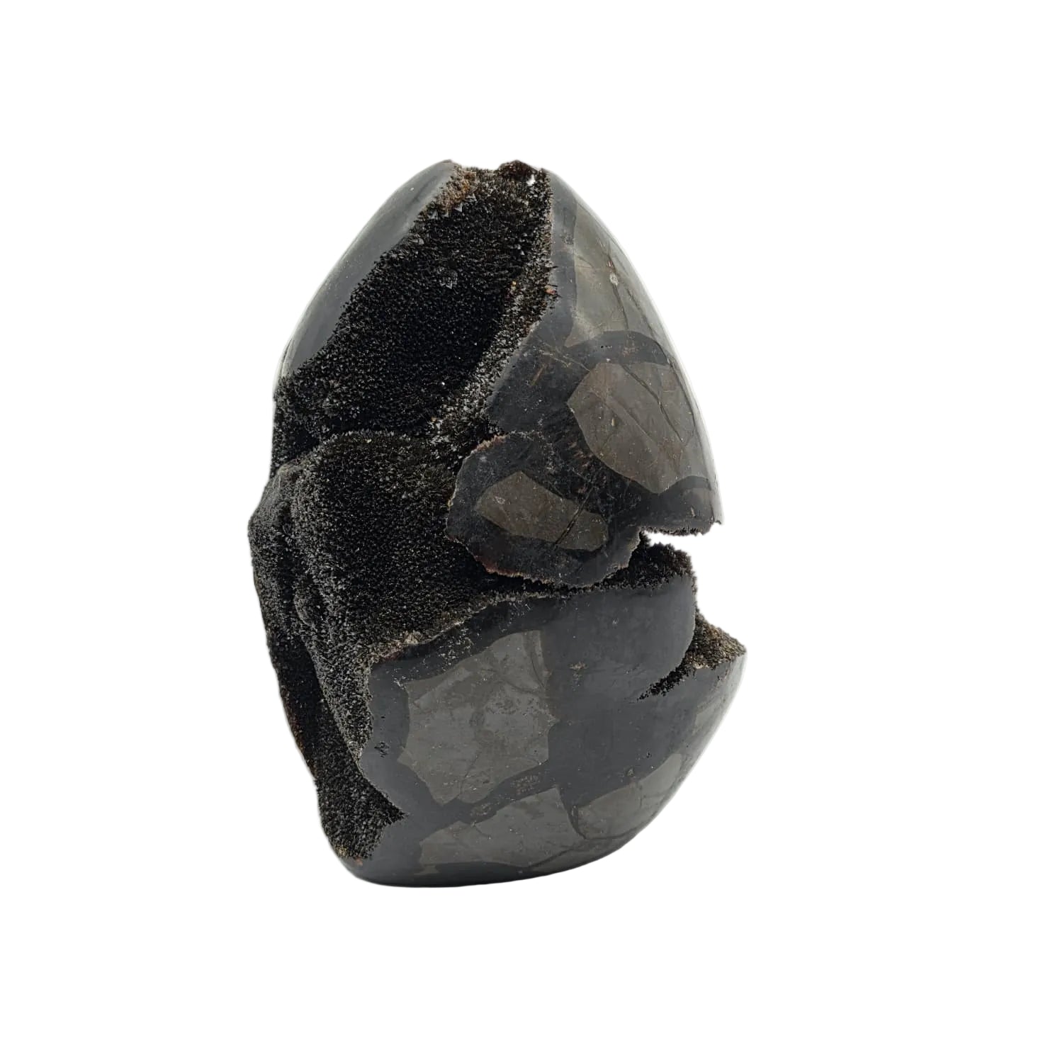 Schwarze Septarien Ei-Form – Naturstein Unikat